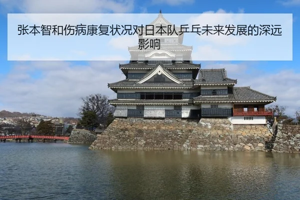 张本智和伤病康复状况对日本队乒乓未来发展的深远影响